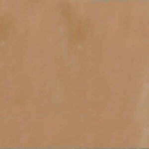 Camel Dust