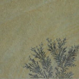 Natural Textured Machine Cut Gwalior Mint Fossil Sandstone