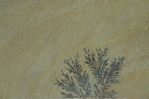 Natural Textured Machine Cut Gwalior Mint Fossil Sandstone